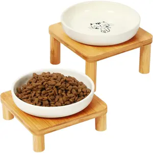 DoogCat Elevated Cat Bowls for Indoor Cats – Raised Bamboo Cat Bowl Stand with 5.75 Inch Wide Ceramic Dishes, Pet Food Plate Table for Easy Feeding, Whisker Friendly(White,Set of 2)