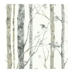 Birch Trees-White/Brown Wall Decals