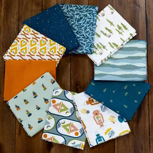 Fat Quarter bundle | Backcountry 10 pc FQ collection