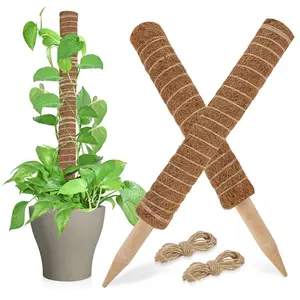 Moss Totem Pole - Moss Pole for Plants Monstera 2 Pcs 15.7 Inch Coco Coir Pole for Climbing Indoor Potted Plants Training Grow Upwards with Jute String Moss Stick for Plant Support Extension