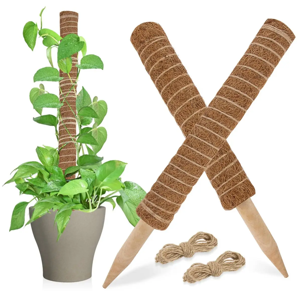 Moss Totem Pole - Moss Pole for Plants Monstera 2 Pcs 15.7 Inch Coco Coir Pole for Climbing Indoor Potted Plants Training Grow Upwards with Jute Strin