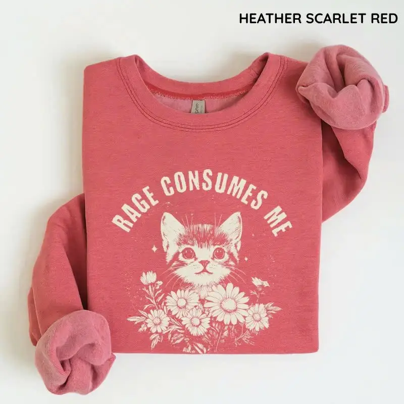 Rage Consumes Me Sweatshirt, Cute Cat Meme Crewneck Pullover, Trendy Fall Aesthetic Loungewear, Funny Cat Lovers Graphic, Women Favorite Top, Crewneck Top
