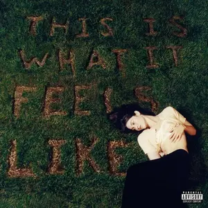 This Is What It Feels Like - Gracie Abrams - Record Album, Vinyl LP