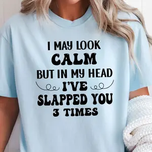 I May Look Calm Comfort Colors Shirt, Sarcastic Tee, Womenswear Top
