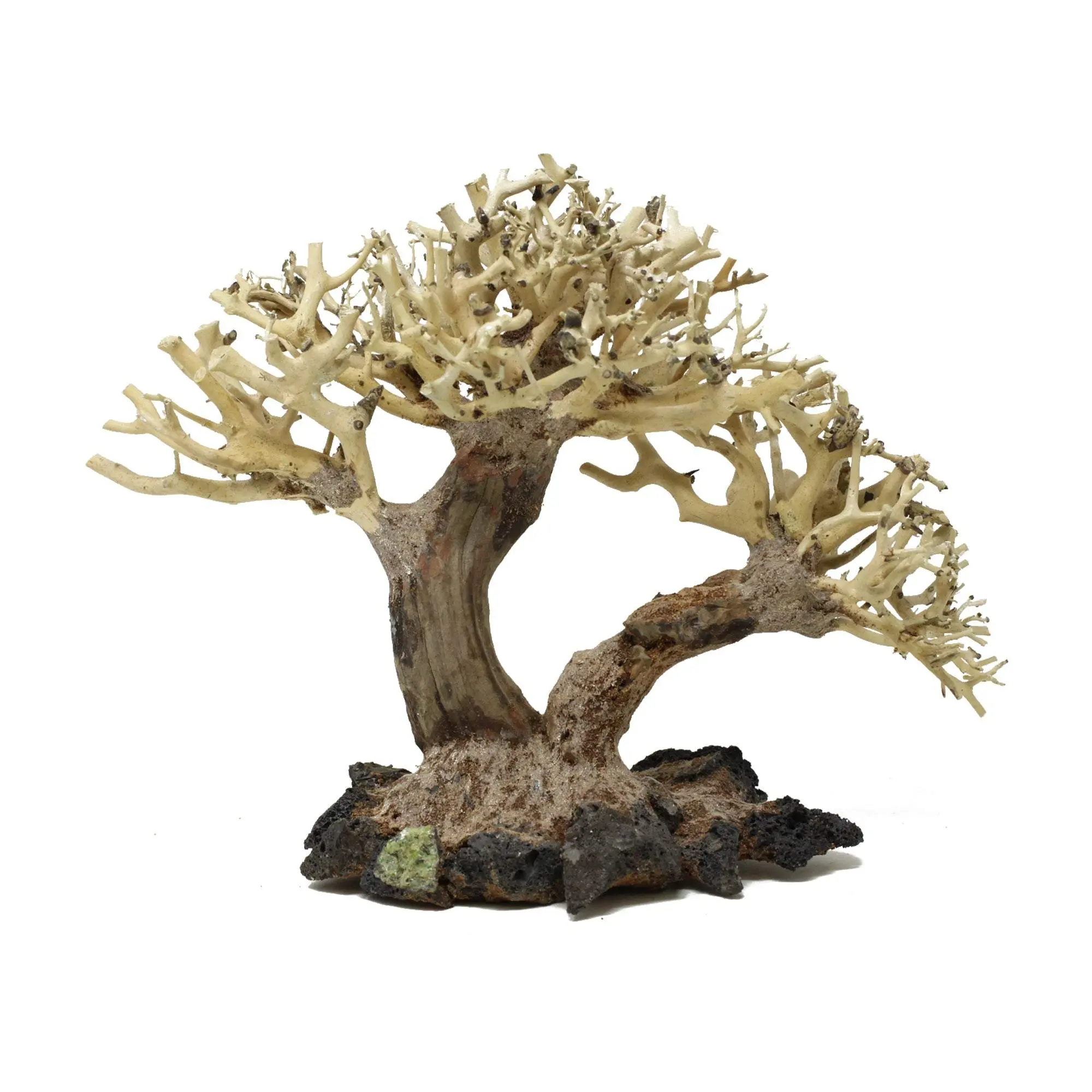 Aquarium Driftwood Bonsai Tree AquaSpace Fish Planted Freshwater AWC Random Pick