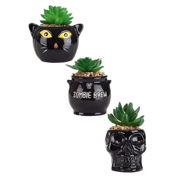 Halloween Succulent Planter Set - Cauldron, Cat & Skeleton