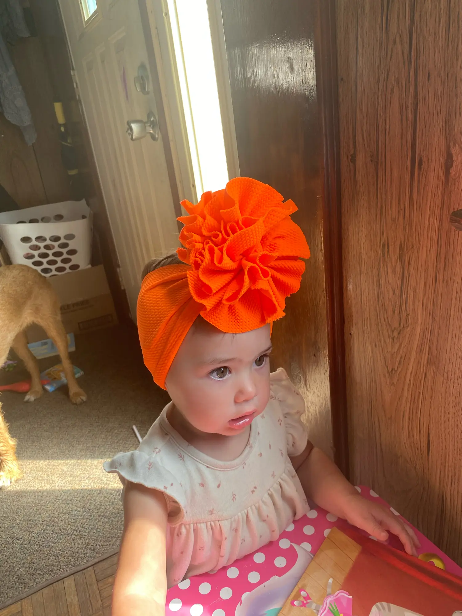 Hair bows