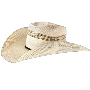 Twister Men's Brown Bangora Straw Hat T71621