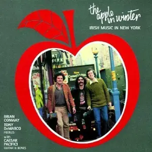 Brian Conway - Apple in Winter  [COMPACT DISC - CD]
