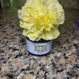 Kanari Hair Budder