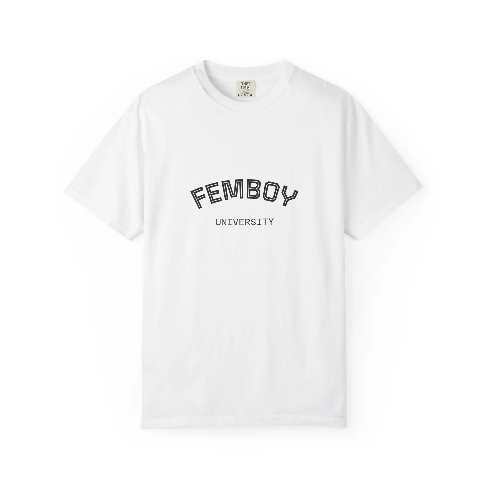 Femboy University Funny T-shirt, Unisex Tee, Humorous Shirt, Gender Fluid Clothing, College Humor Top