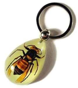 43mm Real Asian Giant Hornet in Glow in The Dark Lucite Keychain Insect Animal Taxidermy Sample Inside