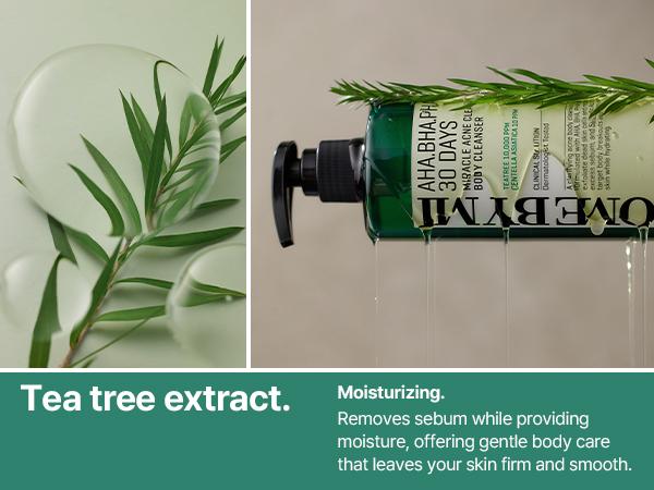 AHA-BHA-PHA Body Care Set - Gentle Exfoliating Body Wash for Acne-Prone Skin & Daily Soothing Body Lotion with Centella - Korean Skincare