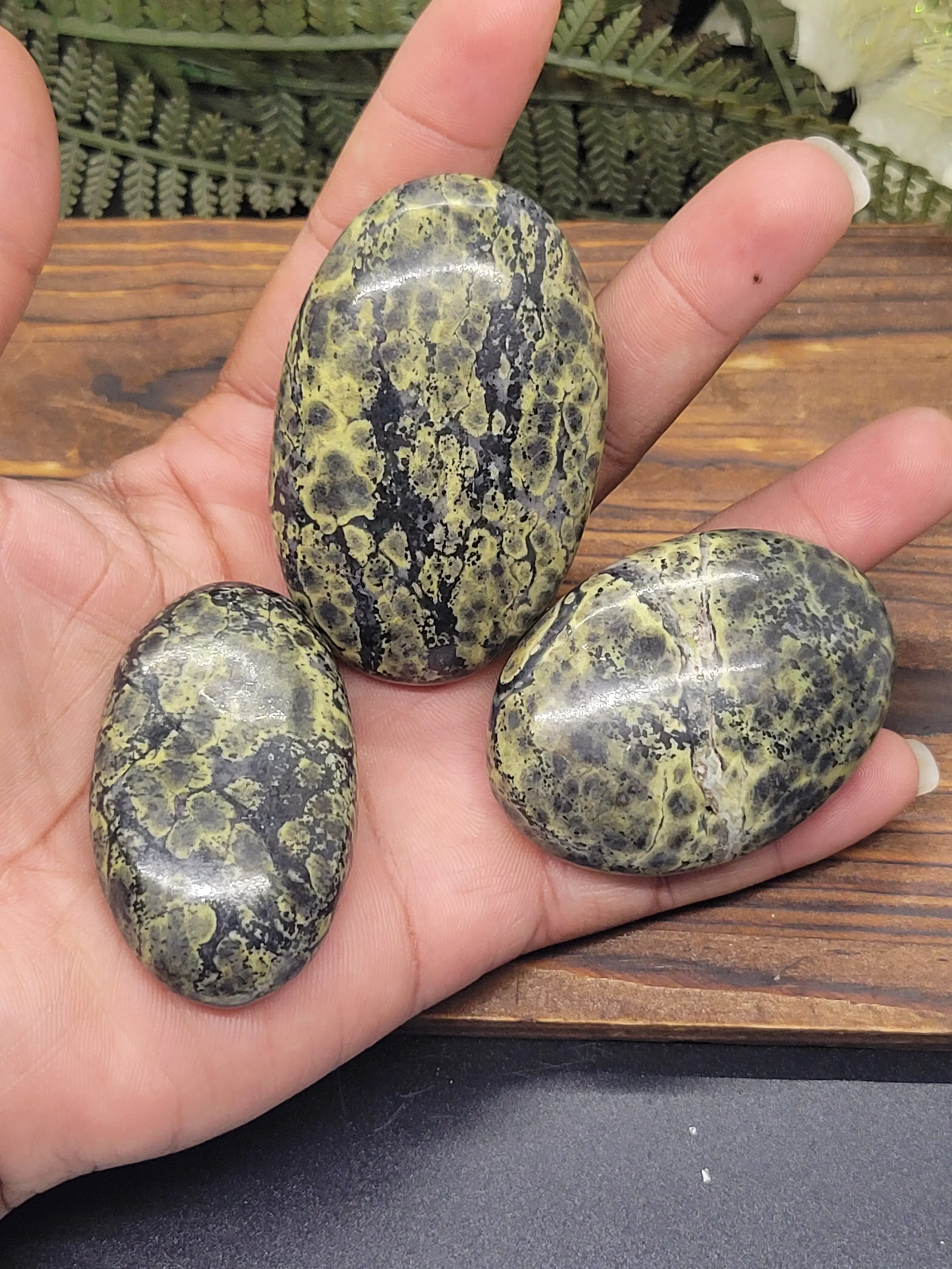 Green Serpentine Palm Stones Green Serpentine Palm Stones