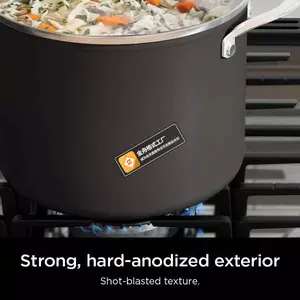 Ninja 10" Never Stick Signature Hard-Anodized Fry Pan: Nonstick, Even-Heating, Dishwasher-Safe, Induction Compatible