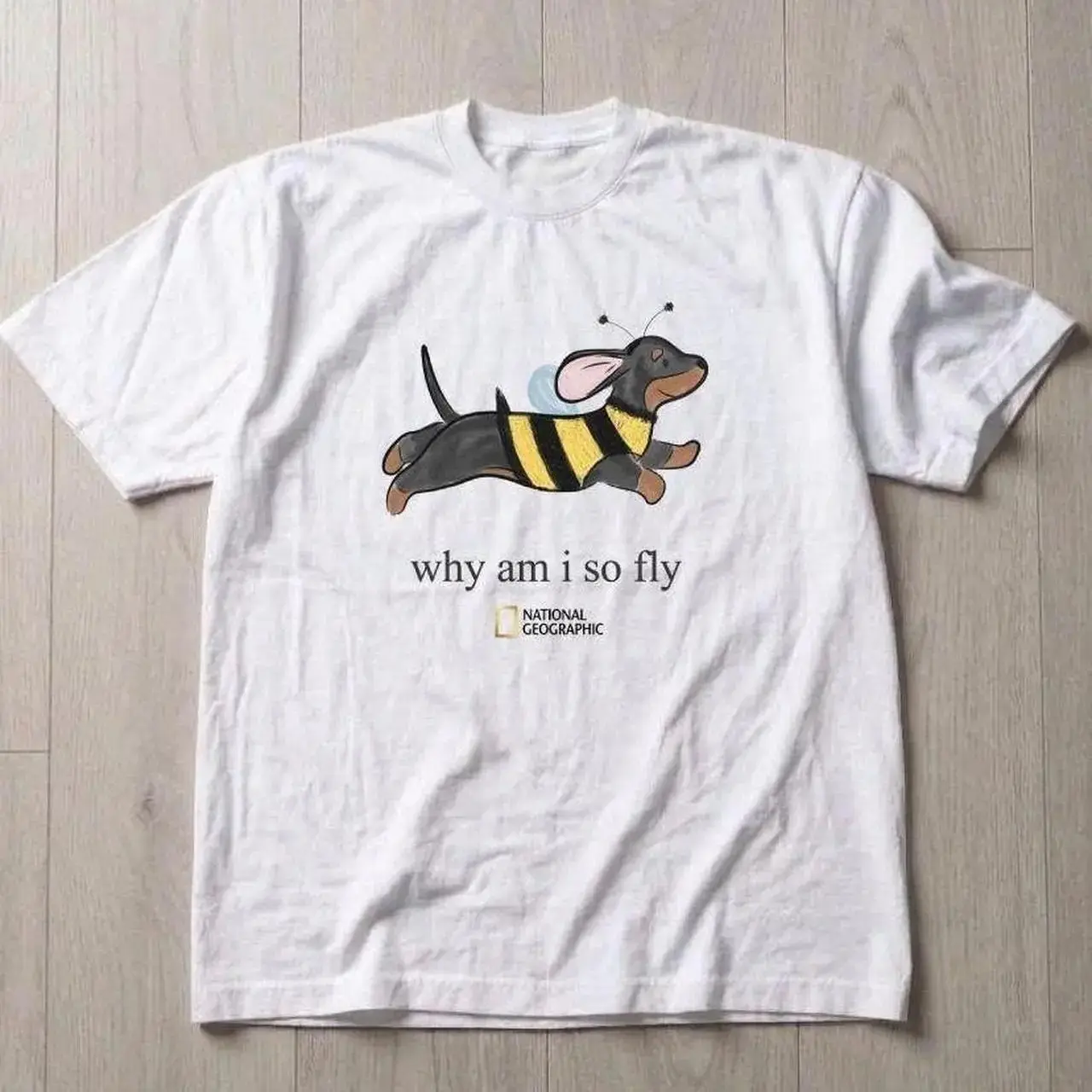 Gildan Men's and Women's T-shirt, Funny Animal Dog Bee Fly Graphic Tee, Animal Tee, Unisex T-shirt, Gift T-shirt, Y2k Unisex Graphic Tees Gothic Grunge Emo Scene Amity Affliction Style Clothes Menswear Womenswear Streetwear