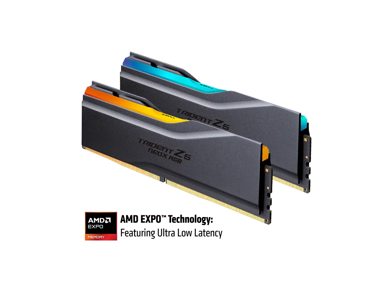 G.SKILL Trident Z5 NeoX RGB Series 32GB (2 x 16GB) 288-Pin PC RAM DDR5 6000 (PC5 48000) Desktop Memory Model F5-6000A2636H16GX2-TZ5NXRK