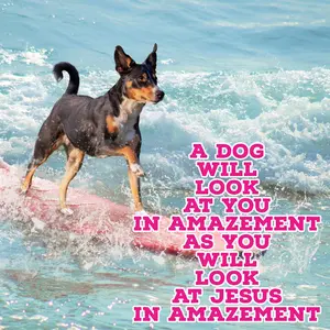 20X16 inch matted canvas Dog Trinity