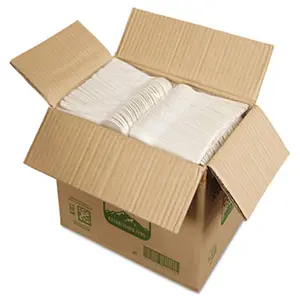 Eco-Products  Plantware Renewable & Compostable Cutlery Spoon Pearl White 1000-Carton