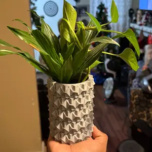 Modern 3D-Printed Planter Pot - 5 Inches Tall, Sleek Minimalist Design, Durable Crafted for Home or Office Decor
