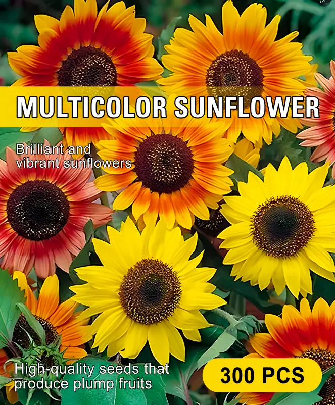 Multi Color Giant Sunflower Seeds Mix - Vibrant Rainbow Sunflowers, Easy to Grow, Heat & Drought Tolerant, Perennial Flower Seeds for Balcony, Garden, Patio - Beginner Friendly Flower Seeds Pack