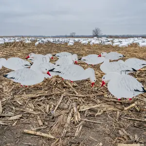 V2FF Fully Flocked Snow Goose Silhouettes