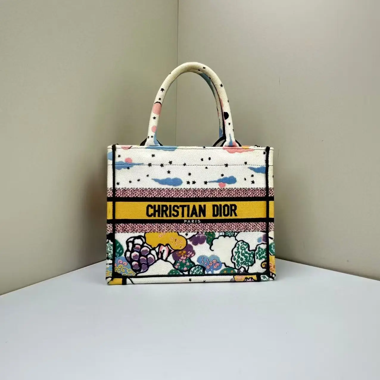 Pre-owned Dior Canvas Tote Bags Book Small Embroidered Ciel De Reve Multicolor CPU0716