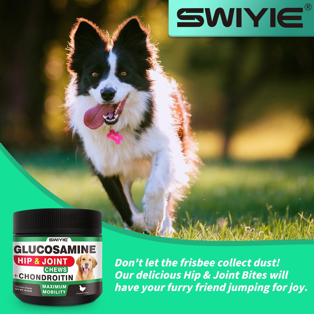 SWIYIE-pet health products Glucosamine Chondroitin Gummies with MSM & Elderberry Extra Strength - Joint Support