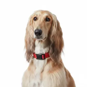 Reflective Adjustable Pet Collar – Anti-Slip Anti-Choke Nylon Walking Collar for Dogs & Cats