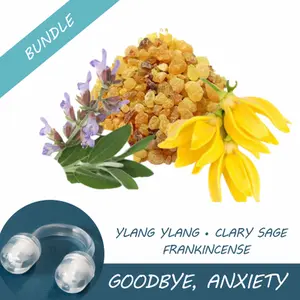 Goodbye, Anxiety (3-pack bundle)