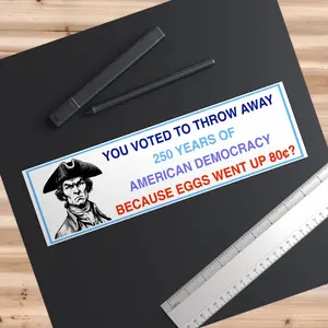 You Voted To Throw Away Car Magnet, democrat stickers, Democracy Because Eggs Went Up 80 Cents, Anti-Trump Magnet, Anti-MAGA Inflation Anti-Fascist Patriot Democrat Bumper Sticker