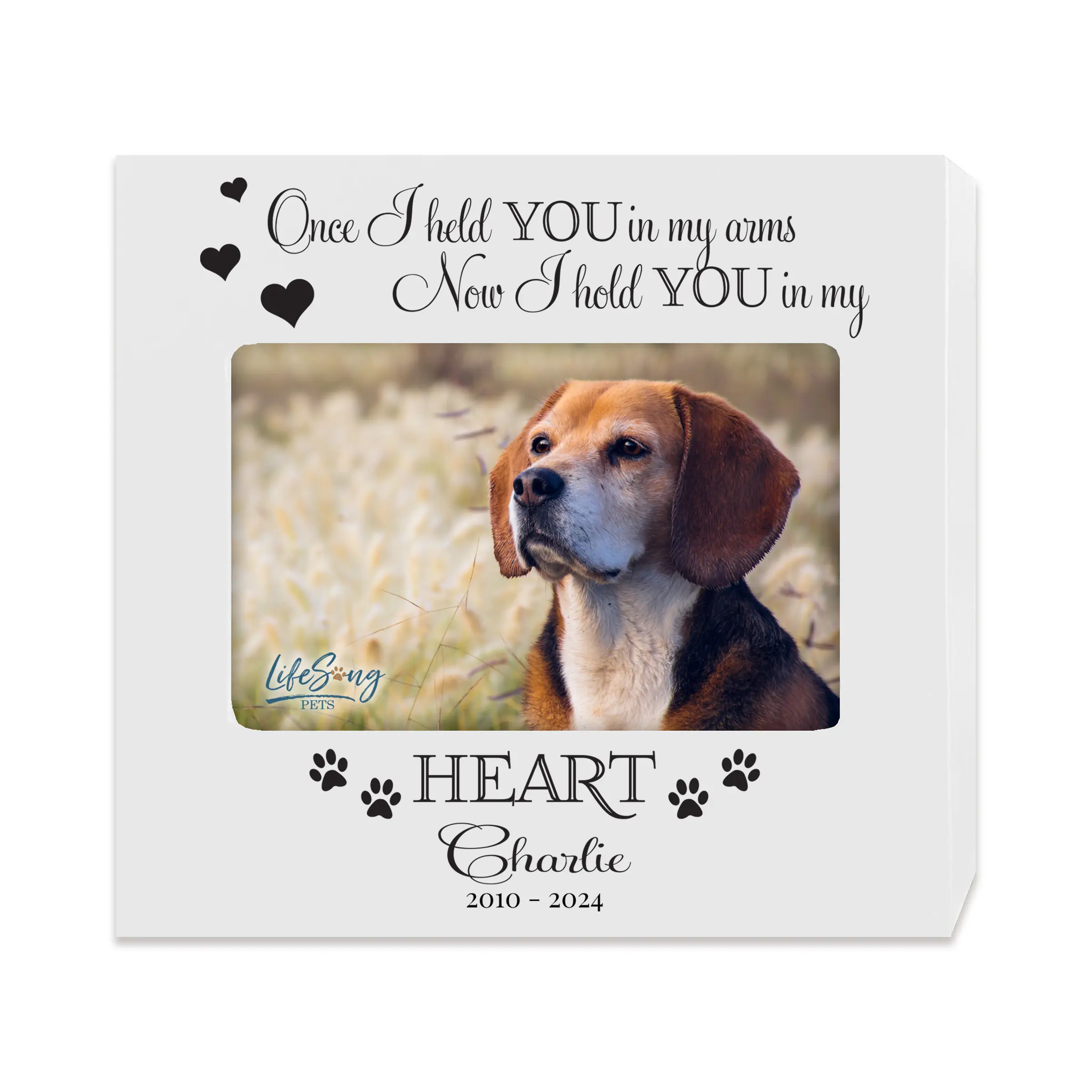 Custom Pet Ashes Urn Box Pet Memorial Gifts Photo Cremation Urn Box Sympathy Gift for Natural Paws Lovers| Once I Held You in My Arms Cute House Decor