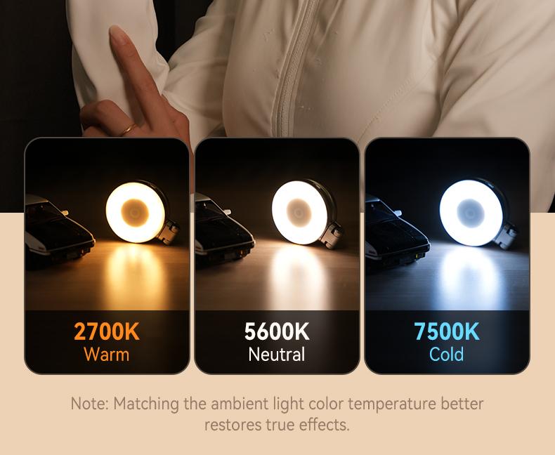 Color temperature and brightness options