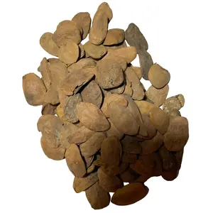 Abere 20 Seeds - Original Seed Packaging for Sustainable Agriculture
