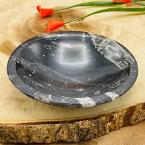 Orthoceras Round Bowl | Fossil Bowl for Incense and Crystals | Cleansing Bowl | Orthoceras Healing Crystal Plate | 4 inch