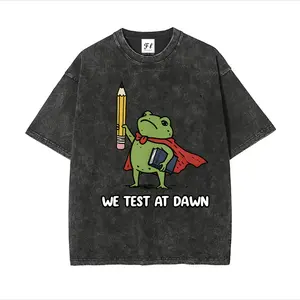 Vintage Washed Frog Superhero Graphic Oversized Cotton T-Shirt, Comfort "We Test At Dawn" Student Tee, Cute Study Frog Outfit, Valentine's Day Gift for Her, Fashion Casual Top