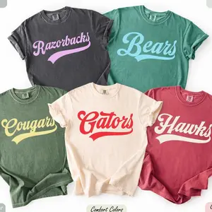Comfort Colors Custom School Mascot T-Shirt, Custom Name Gifts For Back To School, Custom Sports Tee, Team Mascot Shirt, School Logo Tee E