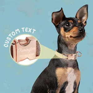 Custom Engraved Pet Collar For Dogs & Cats - Personalized Nylon Accessory, Ideal For Walking Or Decorating Pets, Perfect Small To Medium Breed Gift, Available In 4 Colors