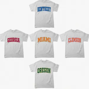 Custom College Team T-Shirt – Ash Grey, Vintage Distressed Varsity Style, Choose Any School, Game Day Shirt, Gift for Fans, Menswear & Womenswear