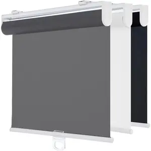 Cordless Roller Shades for Windows Light Filtering Pull Down Blinds Solar Screen Door Blinds Flame Retardant UV Protection Fabric for Home Office 25" W x 72" H Solar Grey