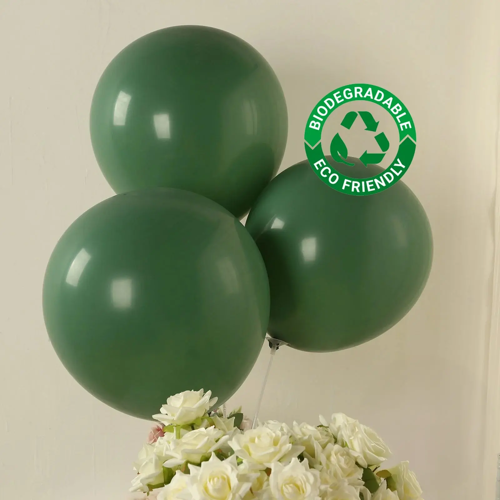 18 in Round Matte Pastel Dusty Sage Green Thick Biodegradable Latex Balloons (10 Pack) - Eco-friendly, Wedding & Birthday Party Supplies for Ceiling Decoration, Hanging Decor