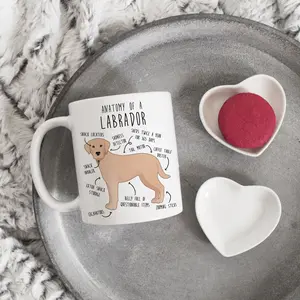 Yellow Labrador Retriever Coffee Mug, Cute Yellow Lab Gift, Dog Lover, Funny Pet Gift for Her, Him, Birthday, Labrador Mom, Dad, Dog Anatomy