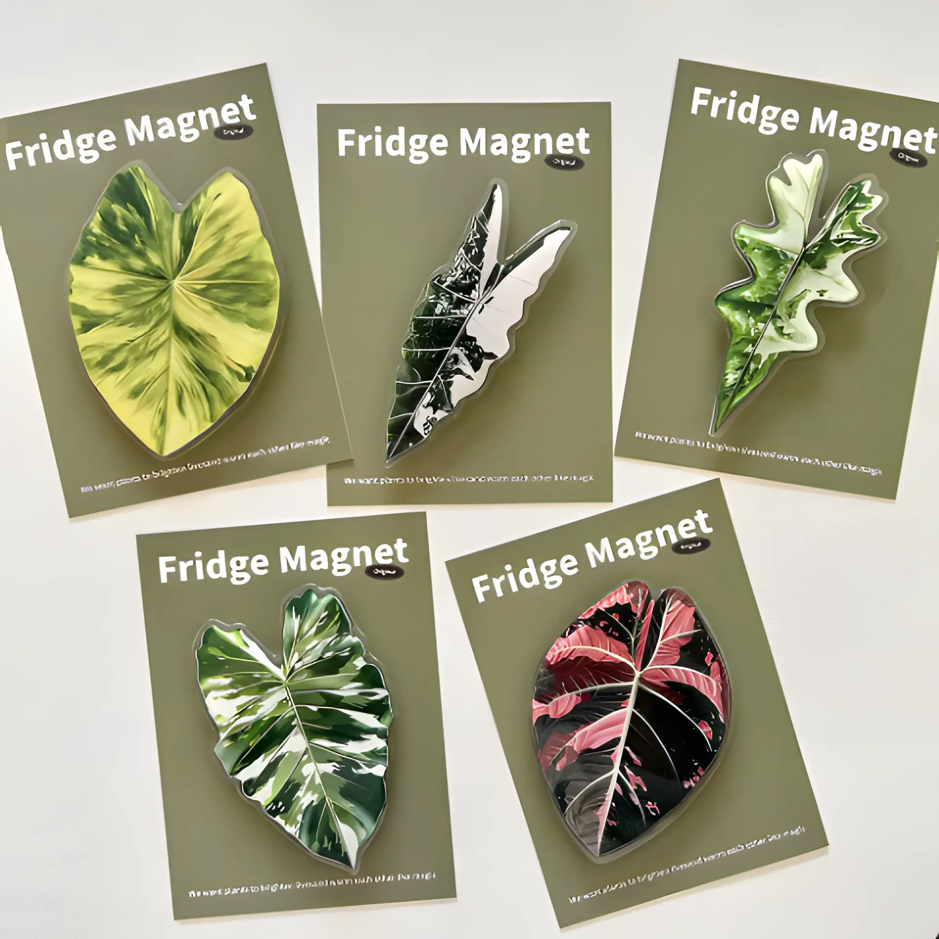 5 Pack Tropical Variegated Leaf Fridge Magnet Set Aesthetic Botanical Leaf Fridge Magnets, Variegated Monstera Caladium Refrigerator Magnet for Plant Lovers