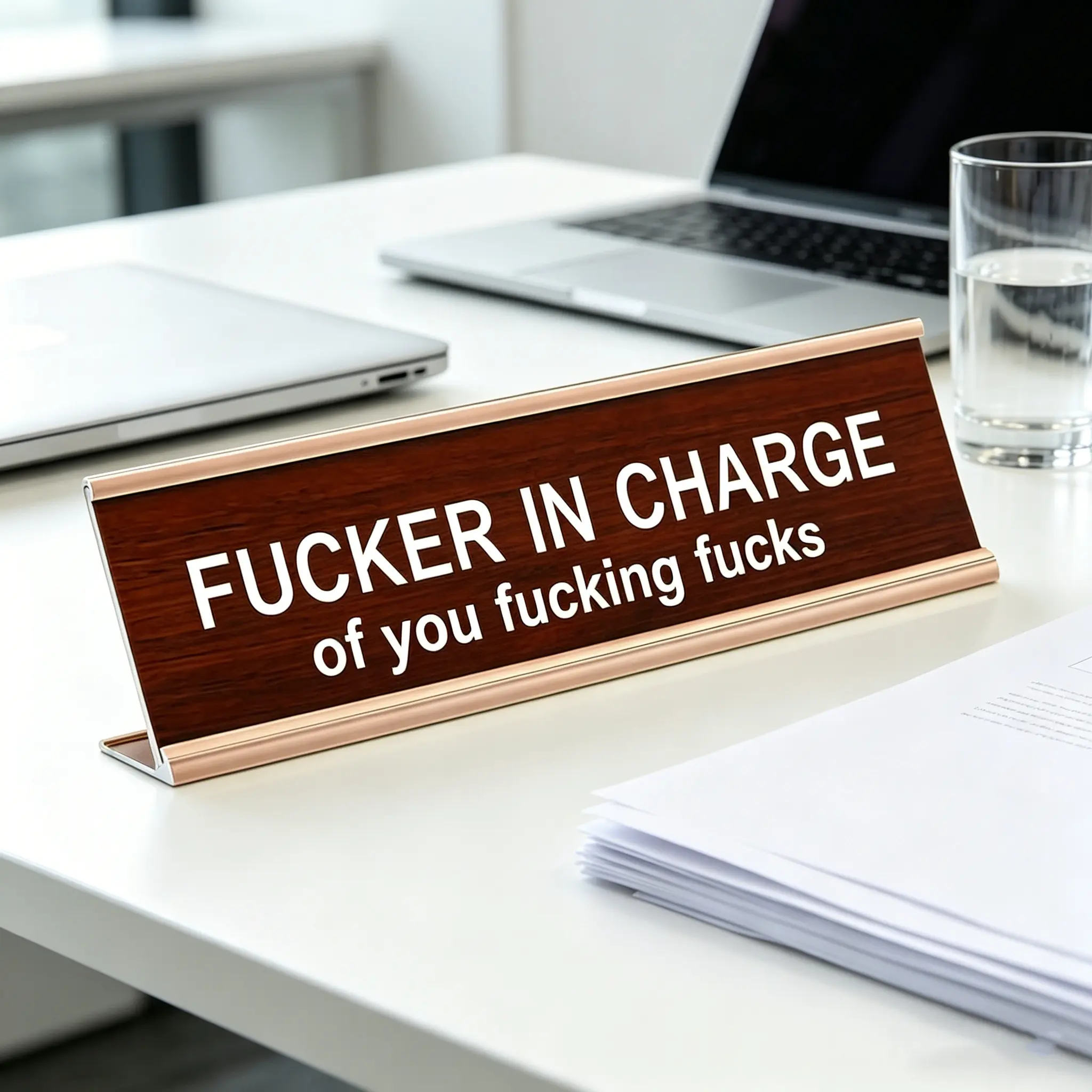 F'ER IN CHARGE OF YOU F'ING F'S DESK SIGN – Funny Office Decor Sign decorative plaque gift aluminium metal stepdad warning road Commanders Fan Metal Auto Tag wall bar fun idea
