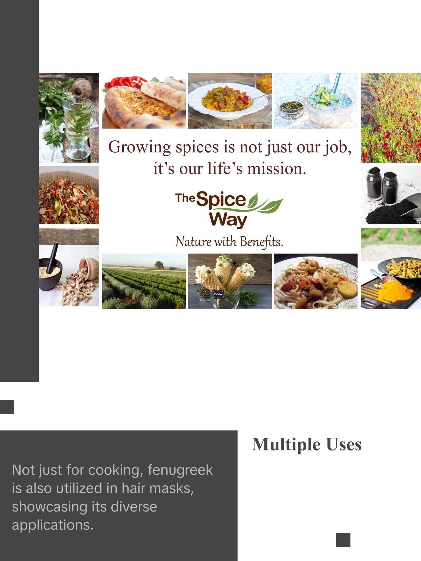 The Spice Way Ground Fenugreek Seeds