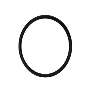 Harmony Series Injector Oval O-ring (A-13303)