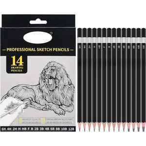 Professional Triangular Drawing Sketching Pencil Set,6H,4H,2H,H,HB,F,B,2B,3B,4B,6B,8B,10B,12B Graphite Shading Pencils  for Beginners,ProArtists,Drawing,Drafting,Sketching,Shading(14 Pcs)