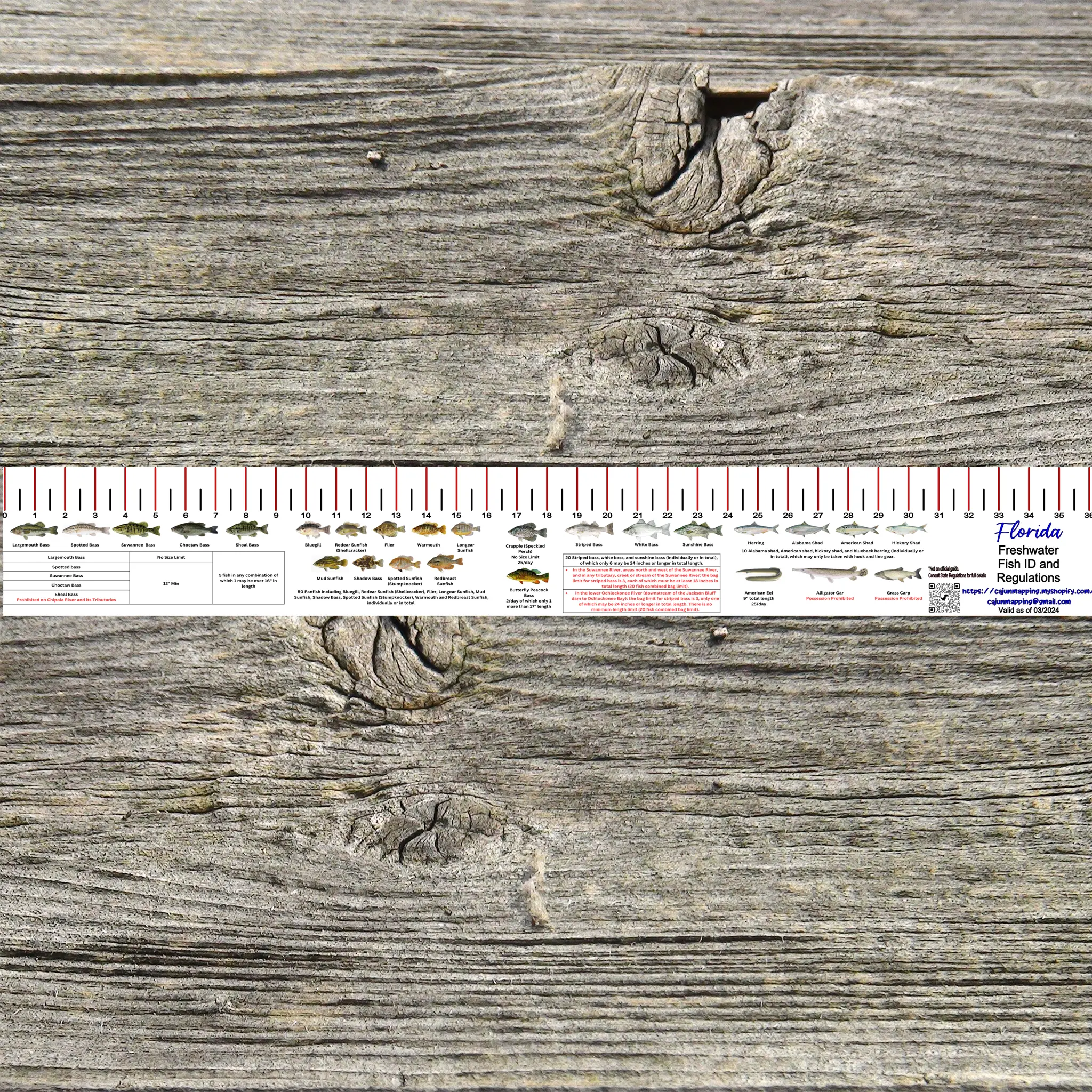 FLORIDA FRESH WATER RULER 36 INCH FISH ID AND STATE REGULATIONS FISH RULER DECAL