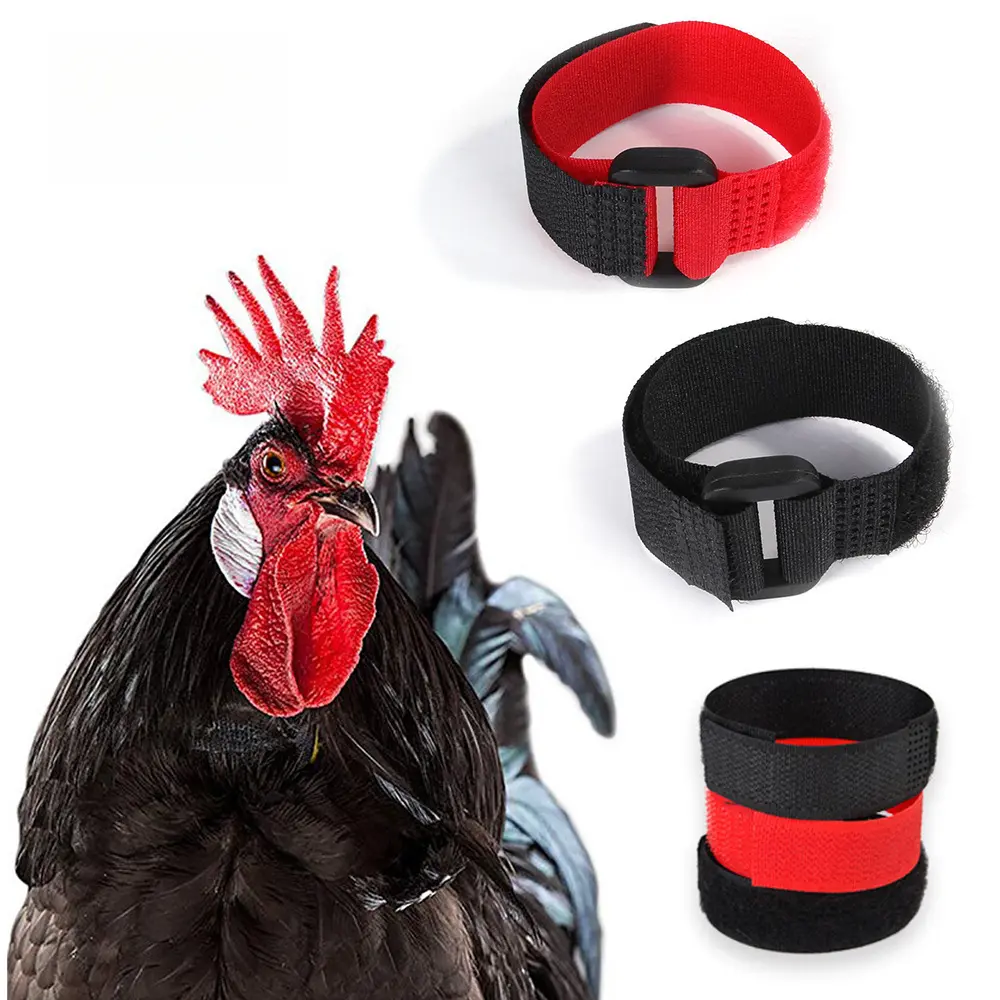6 Pack No Hook Rooster Anti Crow Collar Neck Band for Chickens Stop Crowing Noise Control Crow Collar for Small Rooster Hen Poultry Supplies