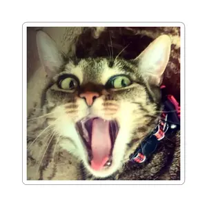 Funny Cat Kiss-Cut Stickers | Hilarious Pet Lover Décor | Laptop Decal, Car Sticker, Gift for Animal Lovers